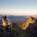 Alpenhof Garni Supreme