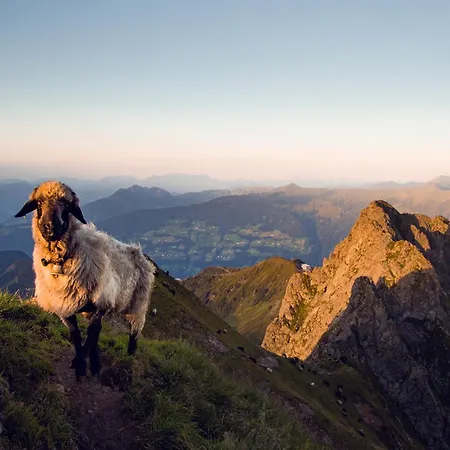Alpenhof Garni Supreme